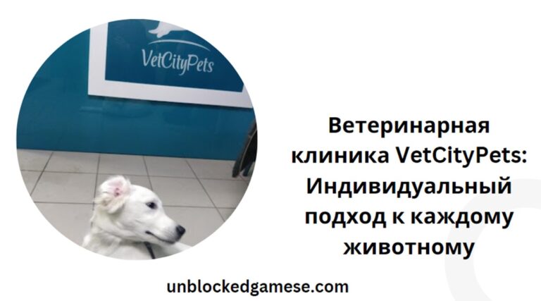 ветеринарная клиника vetcitypets